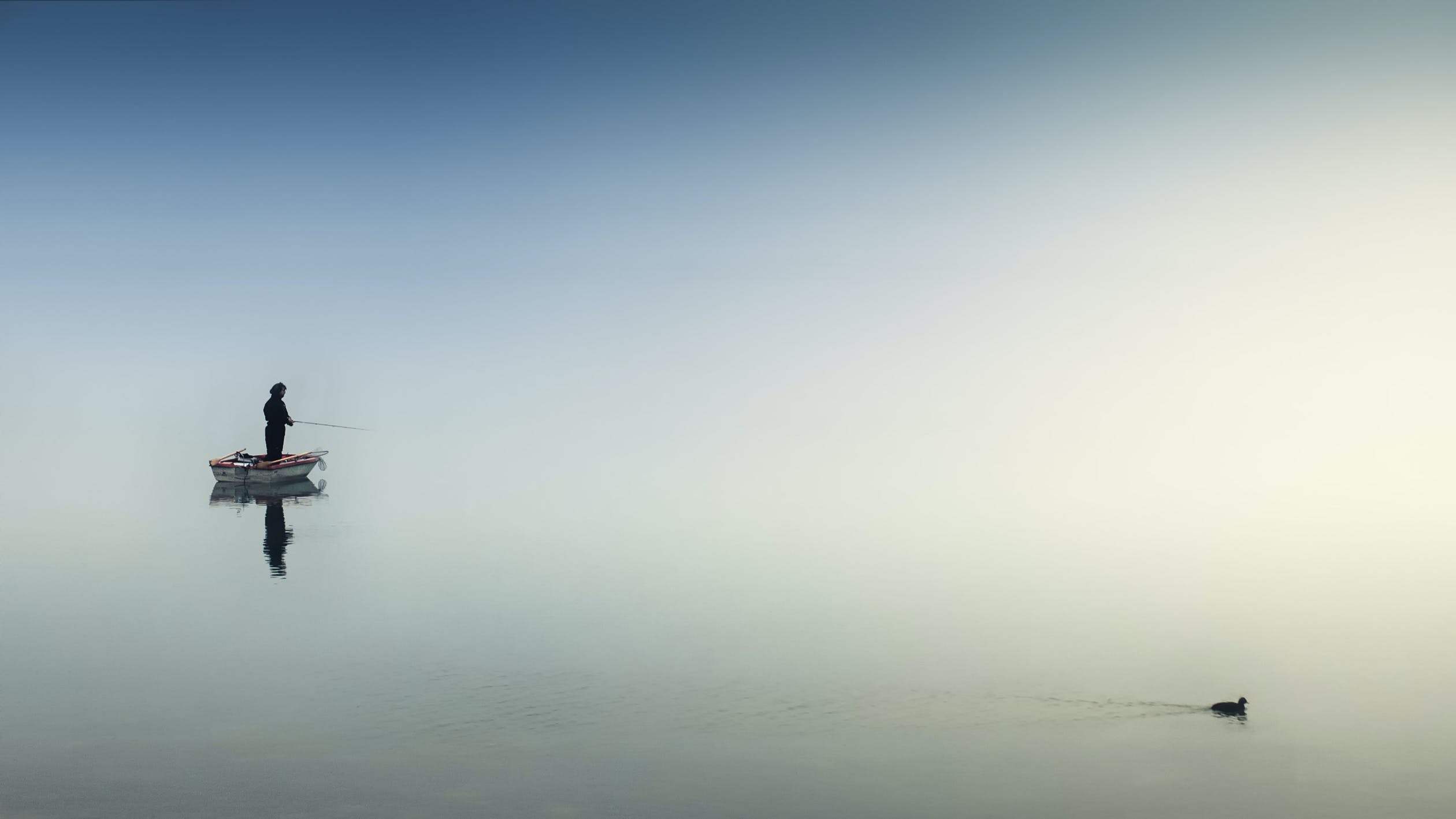 featured image