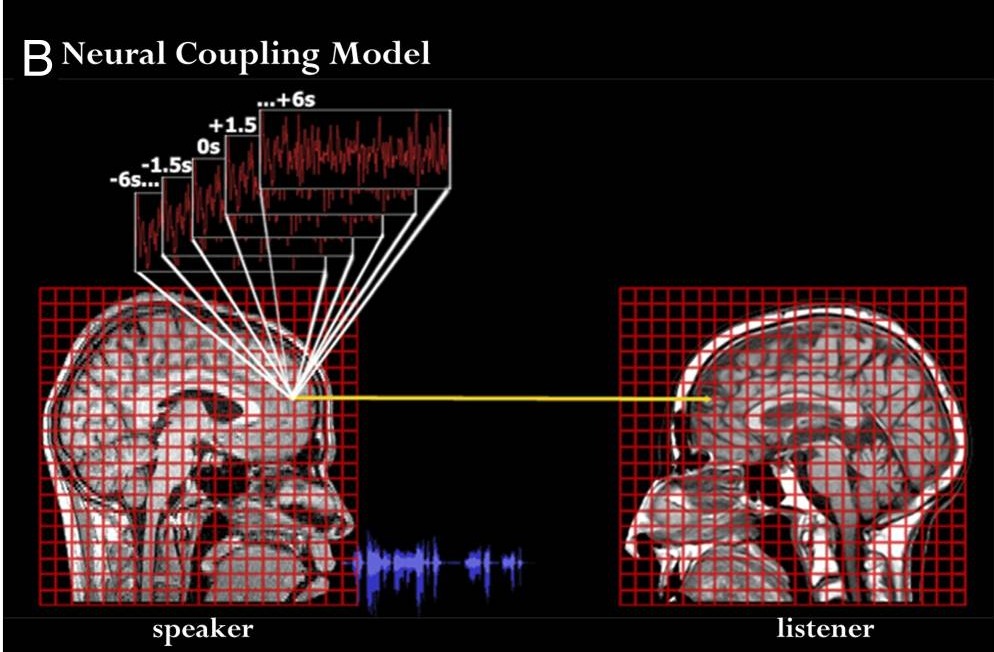 Neural coupling model image. 