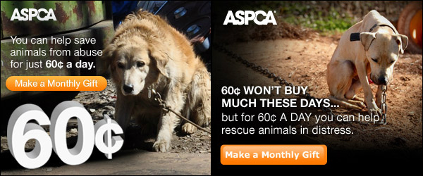 aspca ad with cta to give using emotional persuasion.