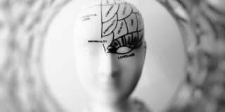 Your brain