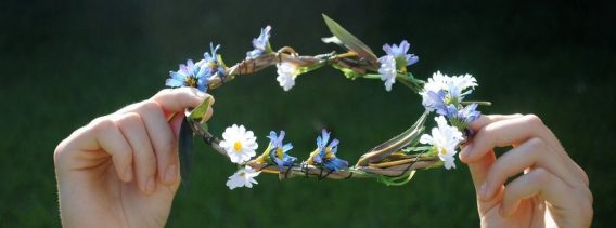 grass flower halo