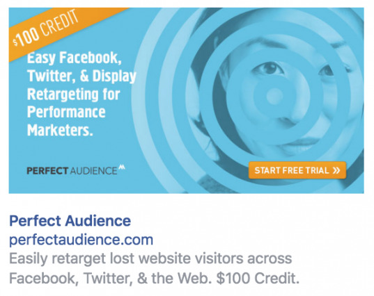 Perfect Audience Retargeting