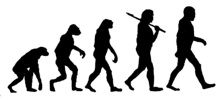 Evolution algorithms