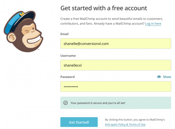 MailChimp Success