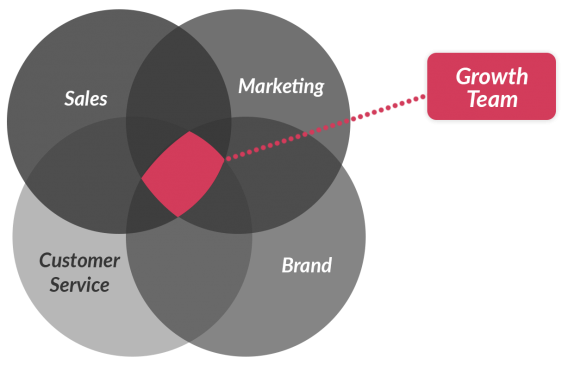 growth team organization venn diagram