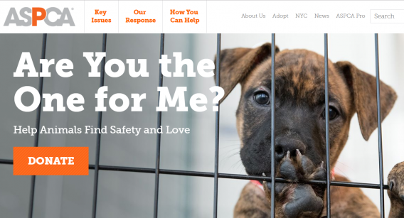 aspca homepage mere agreement