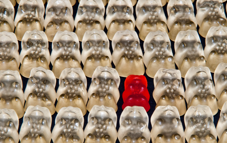 Hold-Out Groups: Gold Standard for Testing—or False Idol?