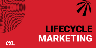 Product lifecycle marketing