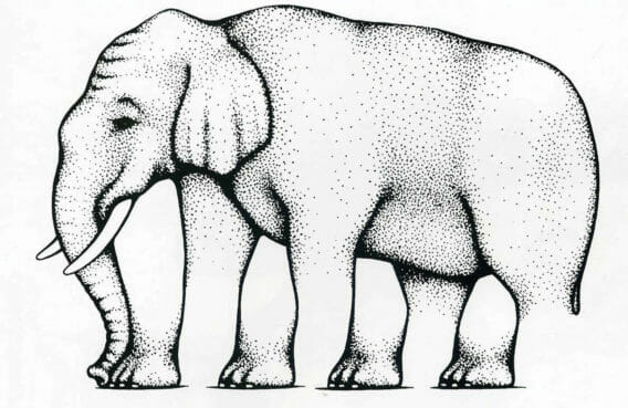 Elephant optical illusion. 