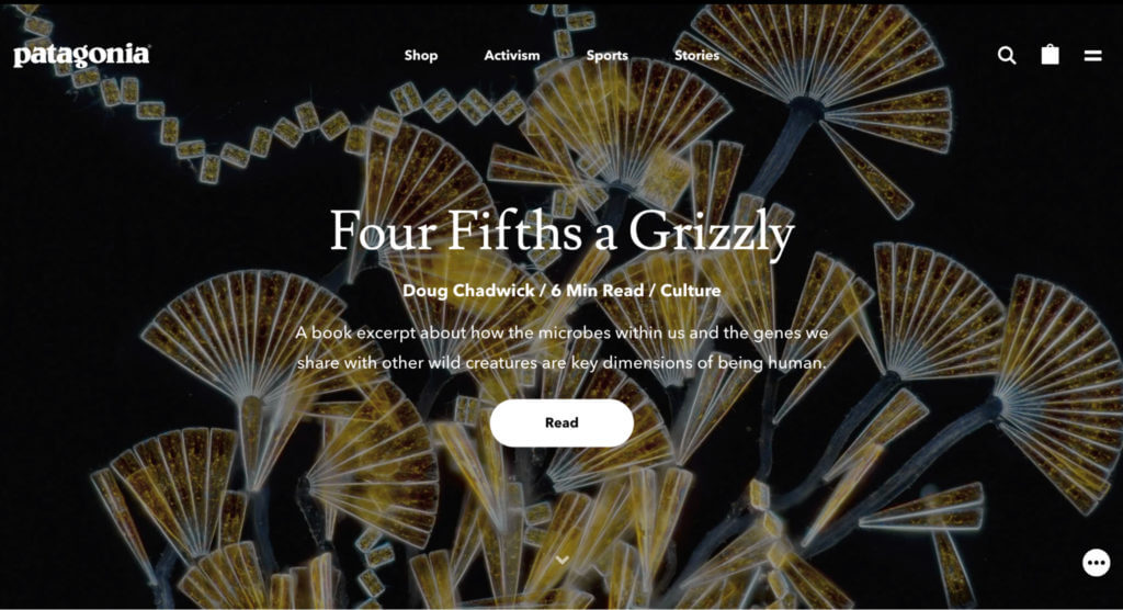 Patagonia's "Four Fifths a Grizzly" campaign