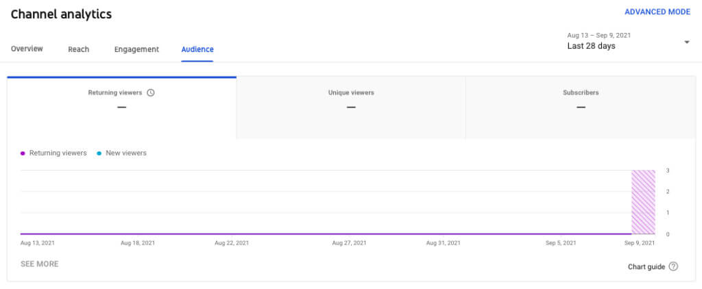 Screenshot of YouTube channel analytics and audience metrics