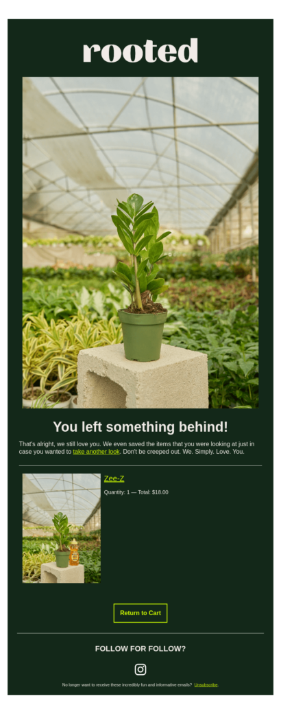Screenshot of Rooted Cart Abandonment Email