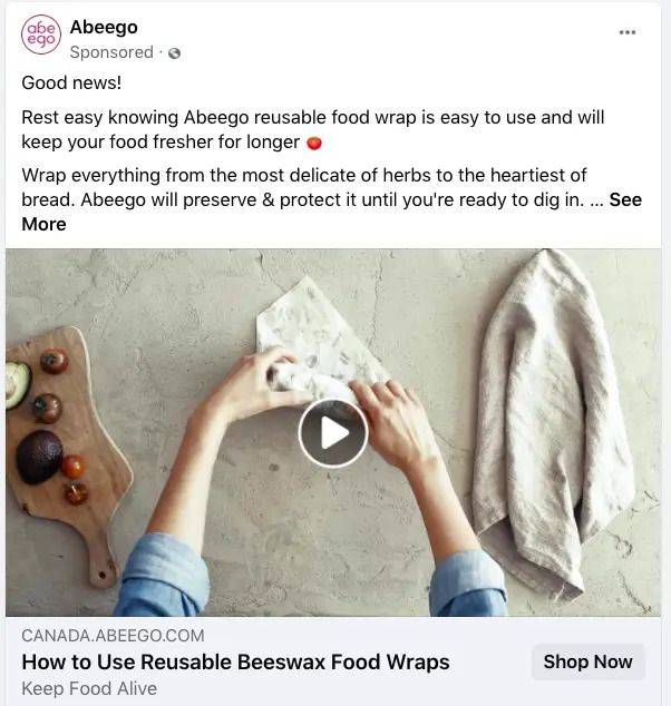 Screenshot of Abeego’s Video Facebook ad