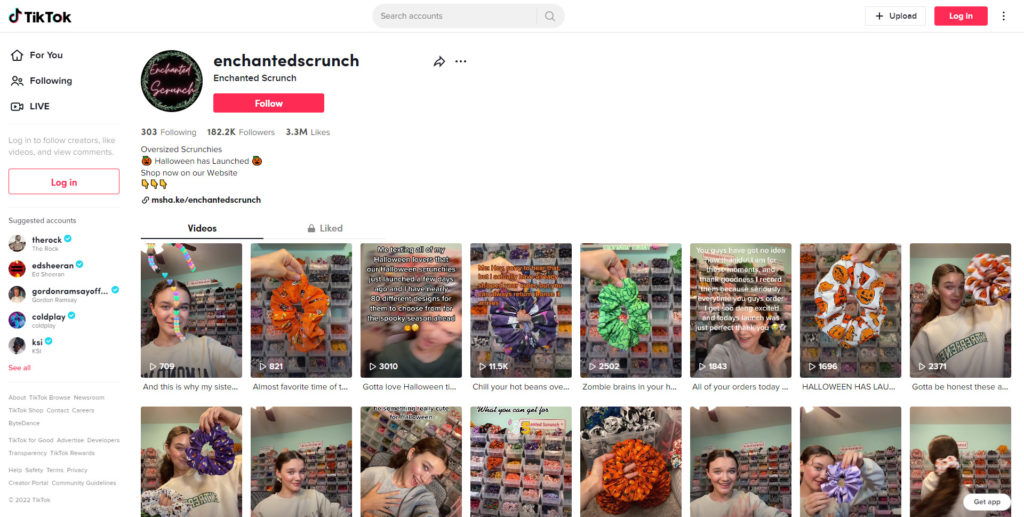 Screenshot of Enchanted Scrunch Tiktok Account