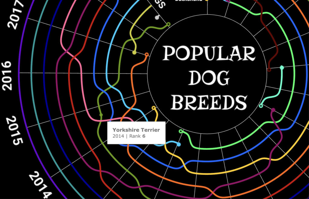 When you run your cursor over the graph, you can quickly see where each dog type ranked in any year