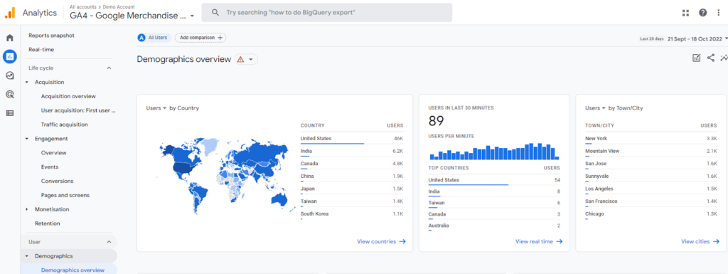 Screenshot of Google Analytics Demographic Overview