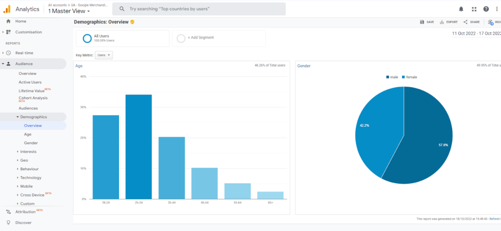 Screenshot of Google Analytics Demographics 