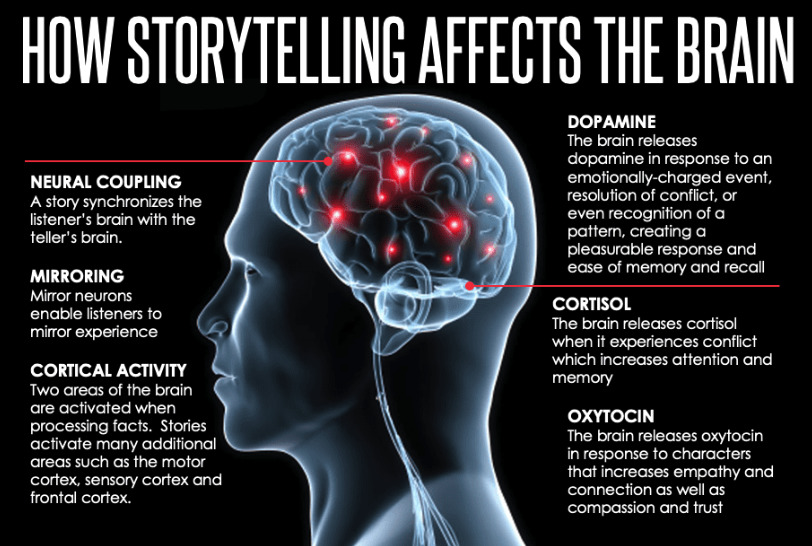 How Storytelling Affects the Brain