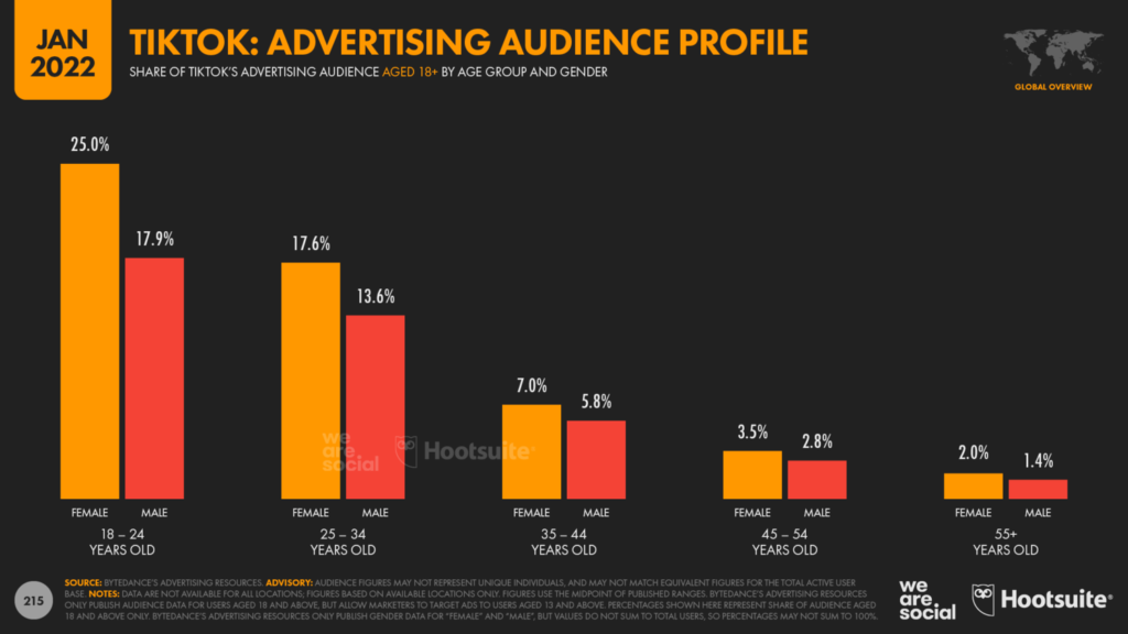 Screenshot of TikTok Advertising Audience Profile