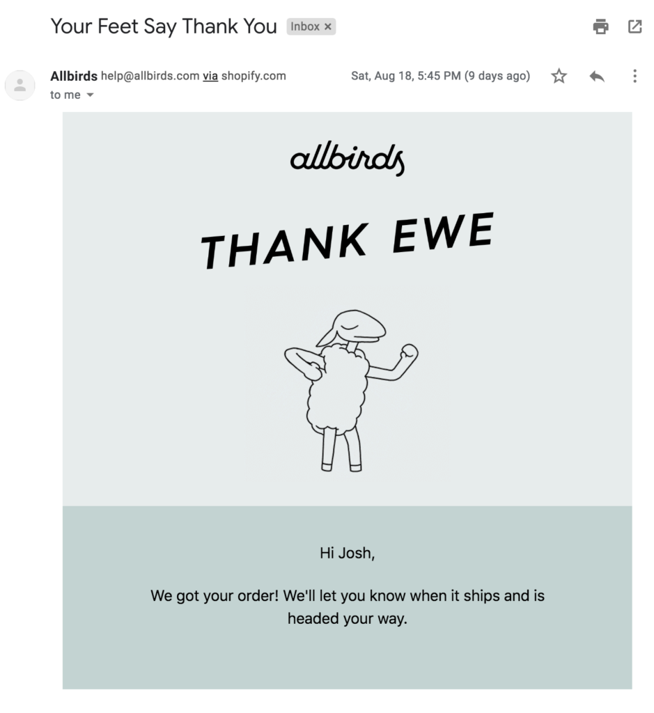 Screenshot of AllBirds Post-purchase thank you email