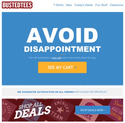 Screenshot of the BustedTees email you received after abandoning your cart on their site