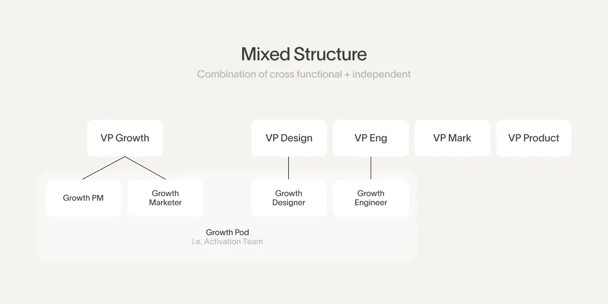 cross functional department structure