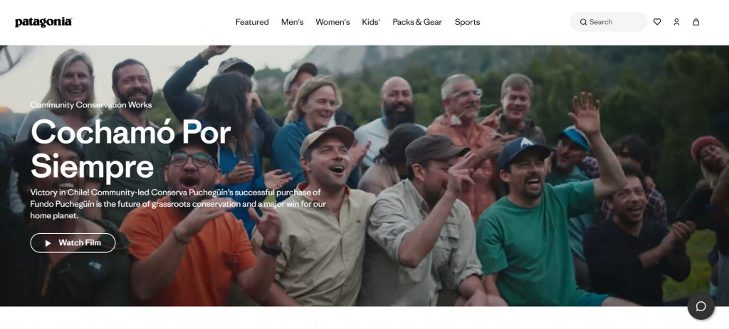 Screenshot of Patagonia Homepage